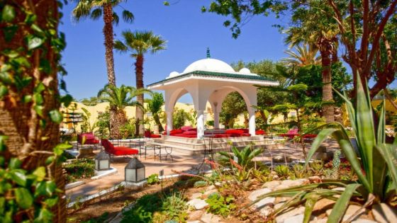 Samira Club Standard