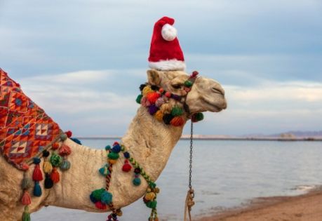 Нова Година - Чартър до Шарм ел Шейх от Варна